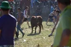 Lavalenguas 2014