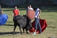 Lavalenguas 2014