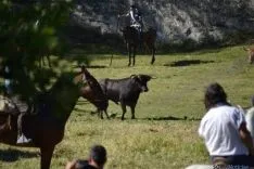 Lavalenguas 2014
