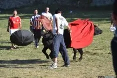 Lavalenguas 2014