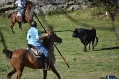 Lavalenguas 2014