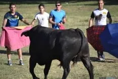 Lavalenguas 2014