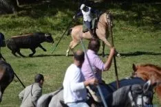 Lavalenguas 2014