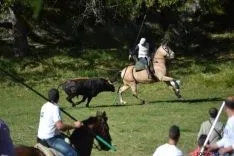Lavalenguas 2014