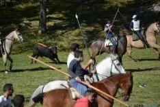Lavalenguas 2014