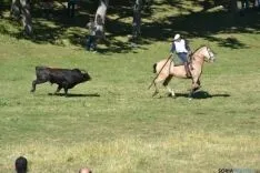 Lavalenguas 2014
