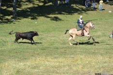 Lavalenguas 2014