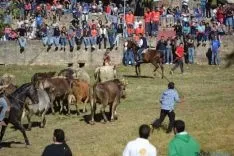 Lavalenguas 2014