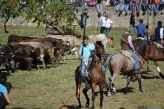 Lavalenguas 2014
