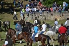 Lavalenguas 2014