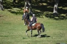 Lavalenguas 2014