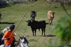 Lavalenguas 2014