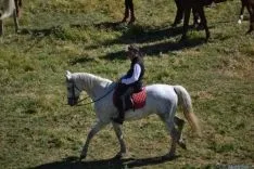 Lavalenguas 2014