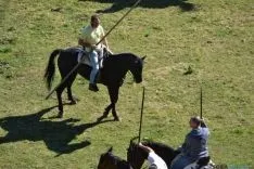Lavalenguas 2014
