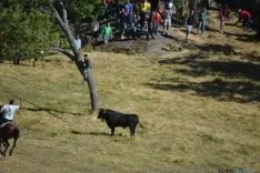 Lavalenguas 2014