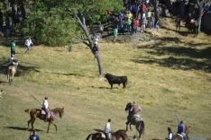 Lavalenguas 2014
