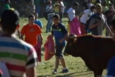 Lavalenguas 2014