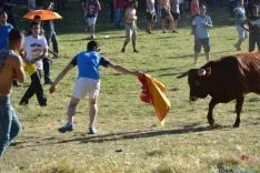 Lavalenguas 2014