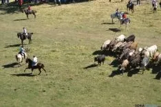 Lavalenguas 2014