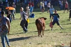 Lavalenguas 2014