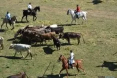 Lavalenguas 2014