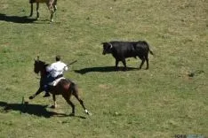 Lavalenguas 2014