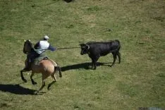 Lavalenguas 2014