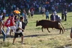 Lavalenguas 2014