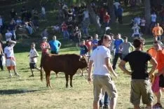 Lavalenguas 2014