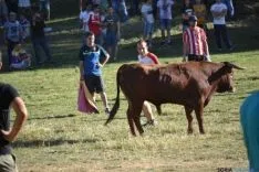Lavalenguas 2014