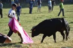 Lavalenguas 2014