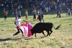 Lavalenguas 2014