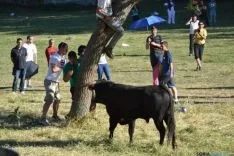 Lavalenguas 2014