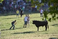 Lavalenguas 2014
