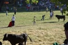 Lavalenguas 2014