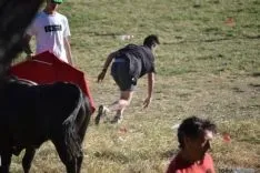Lavalenguas 2014