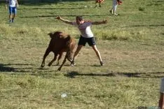 Lavalenguas 2014