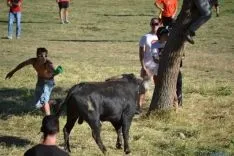 Lavalenguas 2014