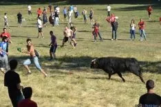 Lavalenguas 2014