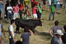 Lavalenguas 2014