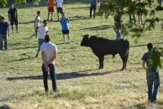 Lavalenguas 2014