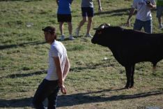 Lavalenguas 2014