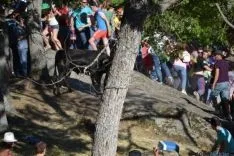 Lavalenguas 2014