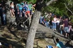 Lavalenguas 2014