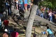 Lavalenguas 2014
