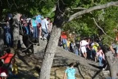Lavalenguas 2014