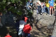 Lavalenguas 2014