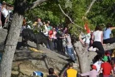 Lavalenguas 2014