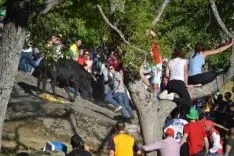 Lavalenguas 2014