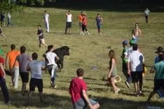 Lavalenguas 2014